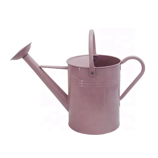 Wholesale 6L galvanized watering can garden watering pot