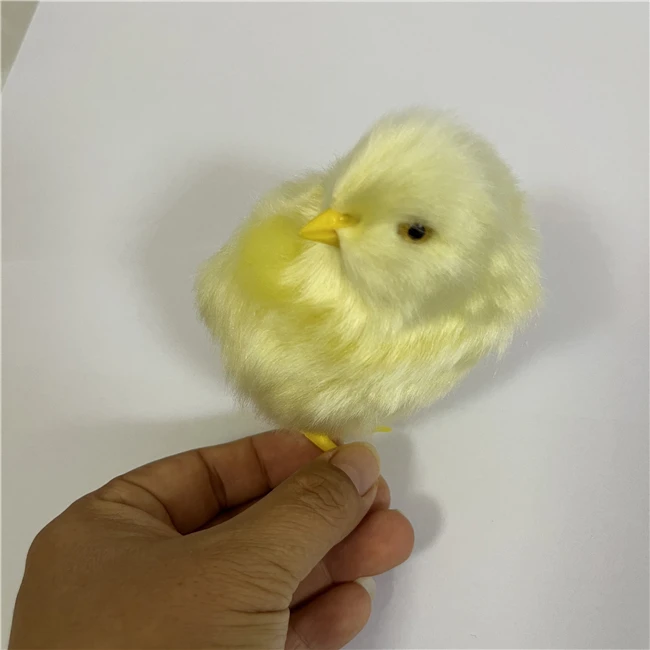 High Quality Fertile Chicken Hatching Eggs
