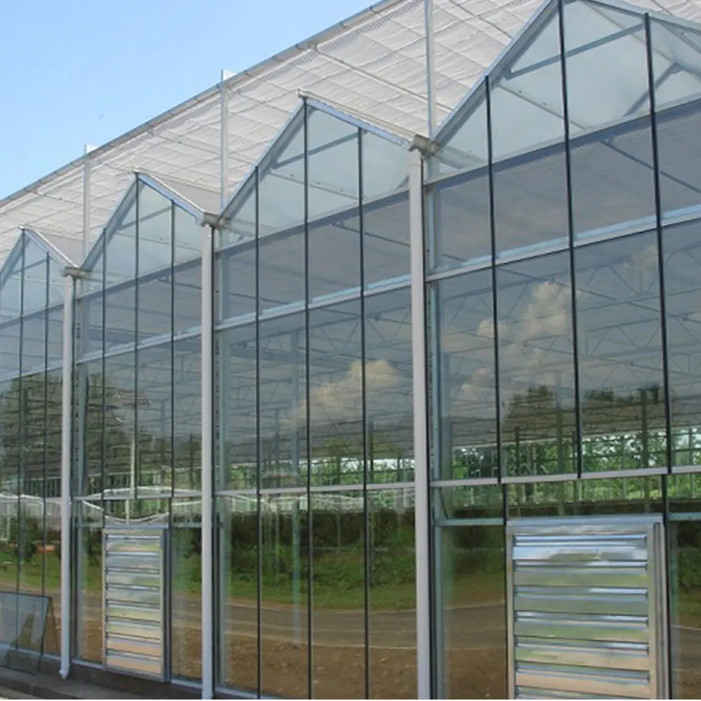 Light deprivation shading screen equipped Venlo glass greenhouse for medical plants
