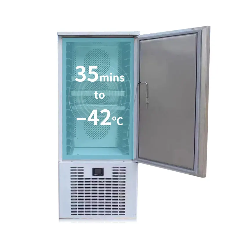 Wholesale Original Supplier 15 Trays Stainless Steel Rapidly Freezer Mini Blast Chiller for sale