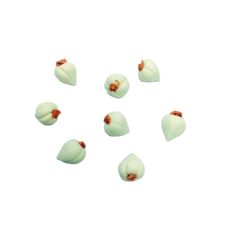 DIY Dollhouse Miniature Vegetables Garlic for Doll Kitchen Accessories