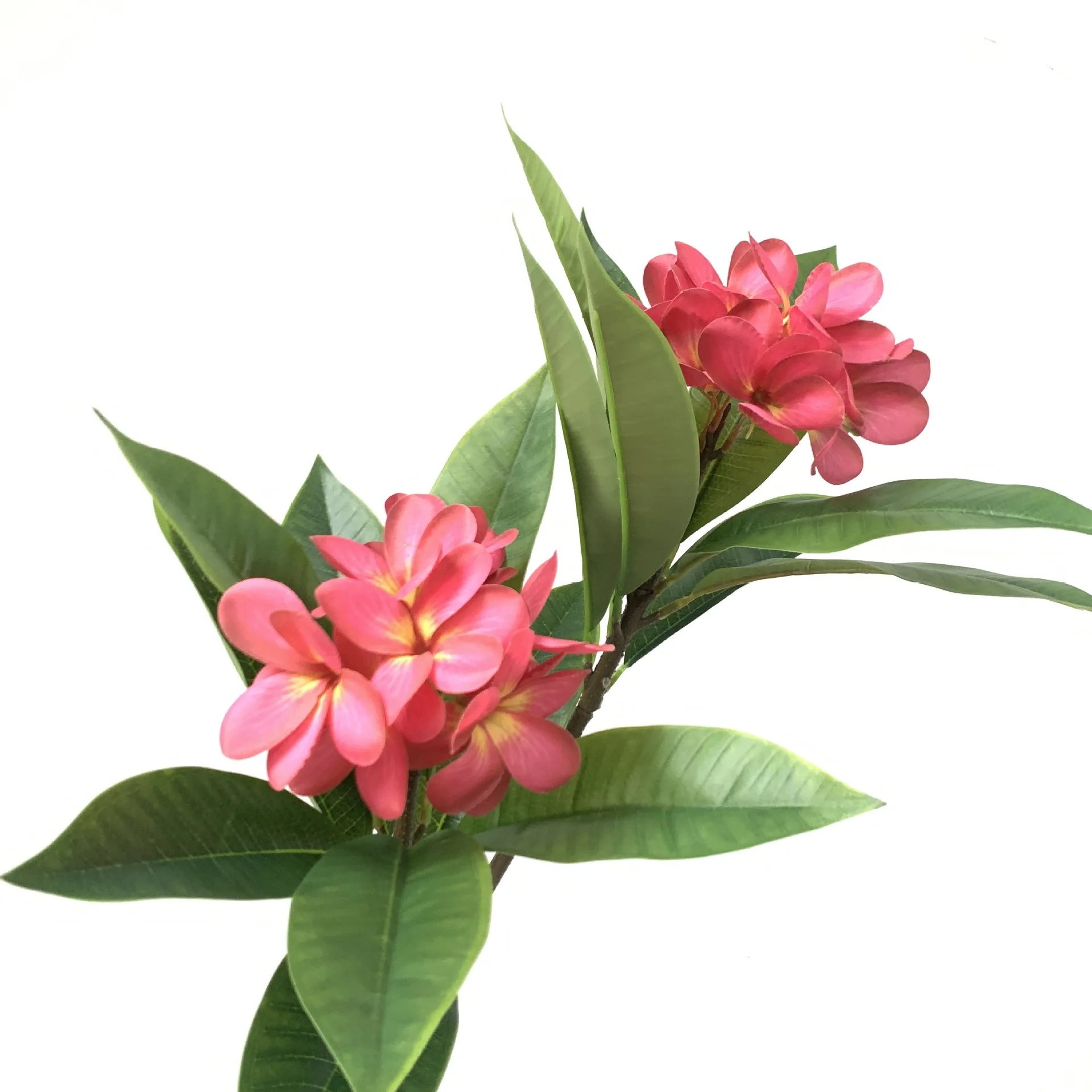 High Quality N-0116 Hawaii Hawaiian Artificial Real Touch Hair Foam 3D Plumeria Flower Bundle