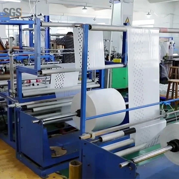 Supplier Biodegradable Plastic Postal Shipping Custom Clothing Poly Bags For Sale Logo Printing Ecommerce Packaging