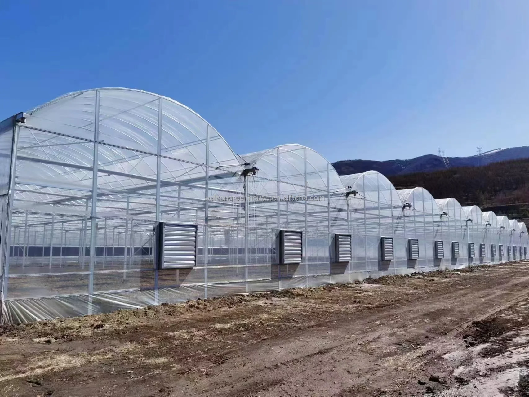 multi span plastic agricultural greenhouse with hydroponic system wide span greenhouse for strawberry growing
