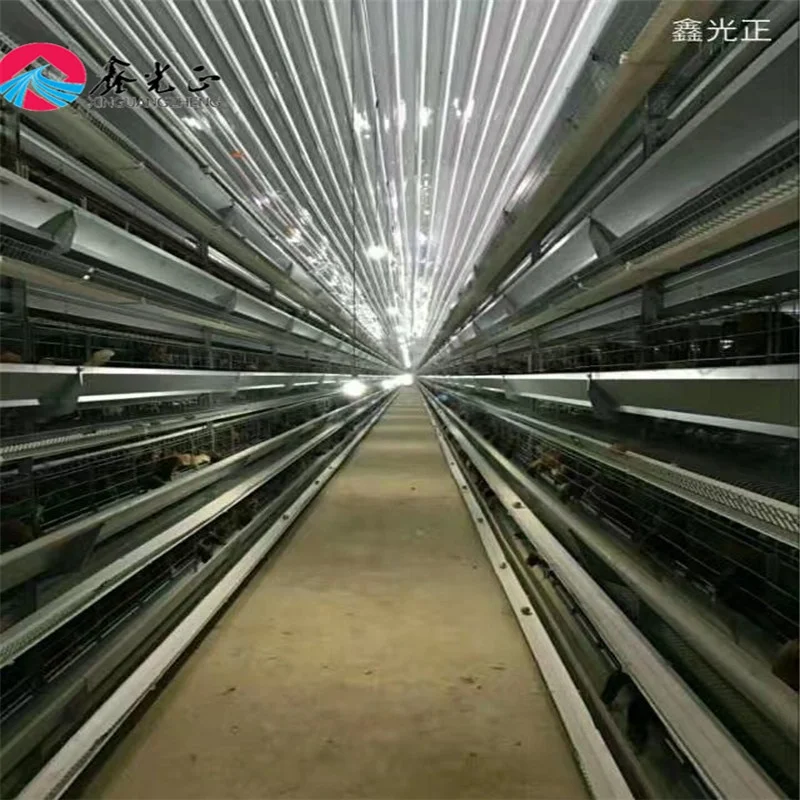 Automatic Poultry Farming System Broiler Layer Chicken Equipment Chicken Livestock Feeder Equipment Automatic Feeding 1.5 Years