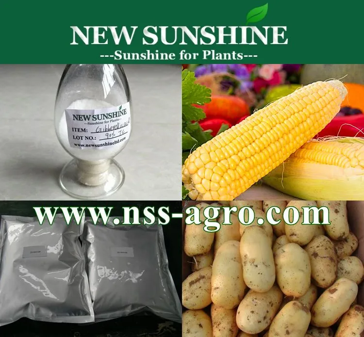 GA3 90% TC Gibberellic Acid CAS 77-06- Plant Growth Regulator