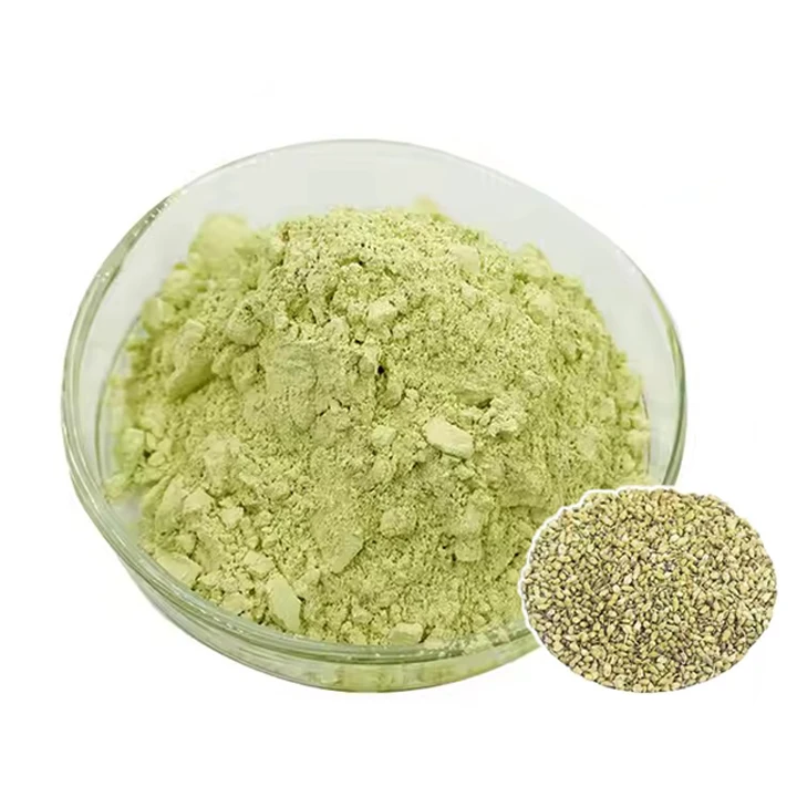 Herbal Sophora Japonica Extract Powder Rutin NF11 95% Pure Rutin Powder