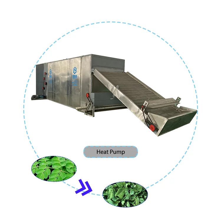 Green Tea Drying Machine Heat Pump Dryer For Herbs Cardamom Grass Spirulina Clove Fig Bay Leaf Moringa Leaves