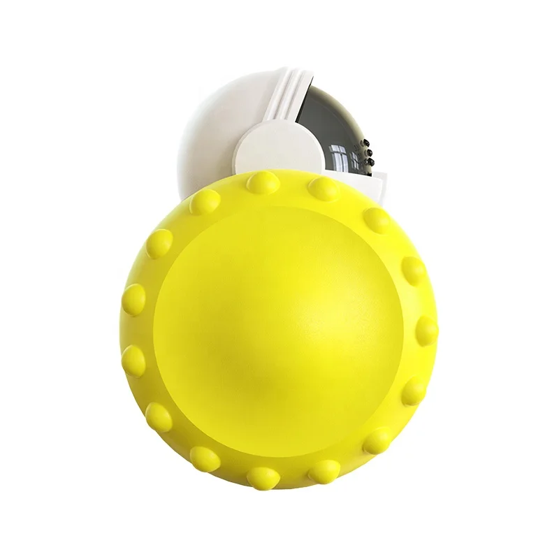 Newest Product Pet Educational Interactive Toy Innovation and Upgrade Balance Car Intelligent Pet Automatic Feeder