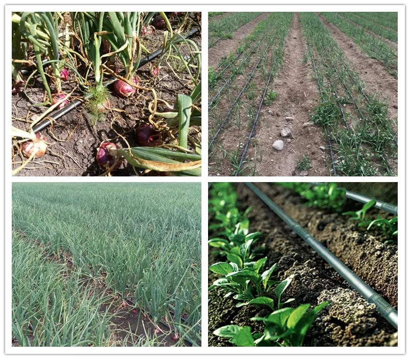 FREE Sample Available 1 hectare Inline Round Dripper Irrigation Pipe for irrigation system