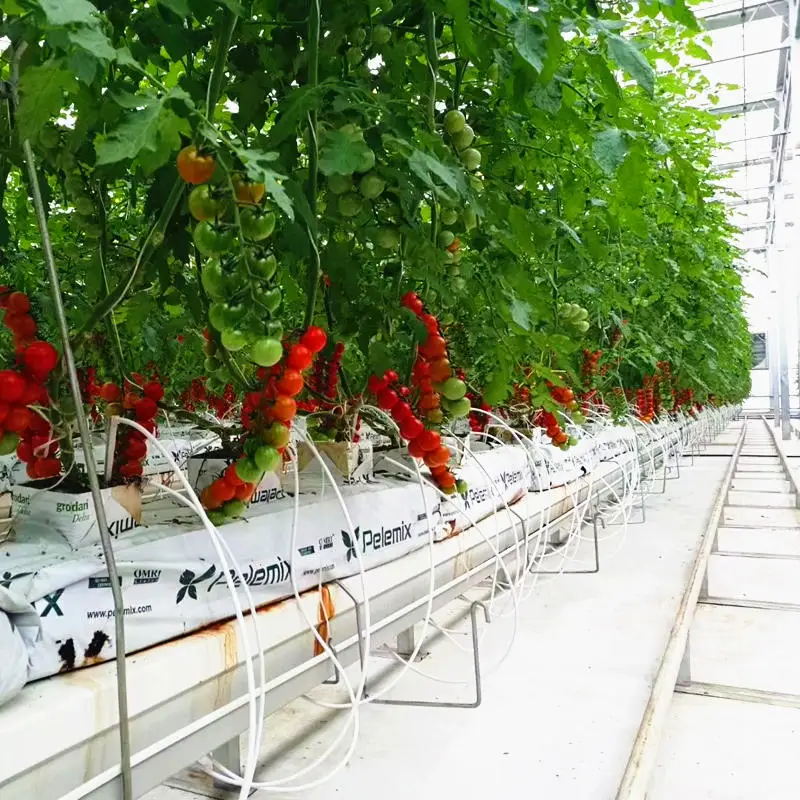 Томатный клубничный Чили Тепличный прочный белый напольный тканевый коврик для сорняков барьер для сорняков