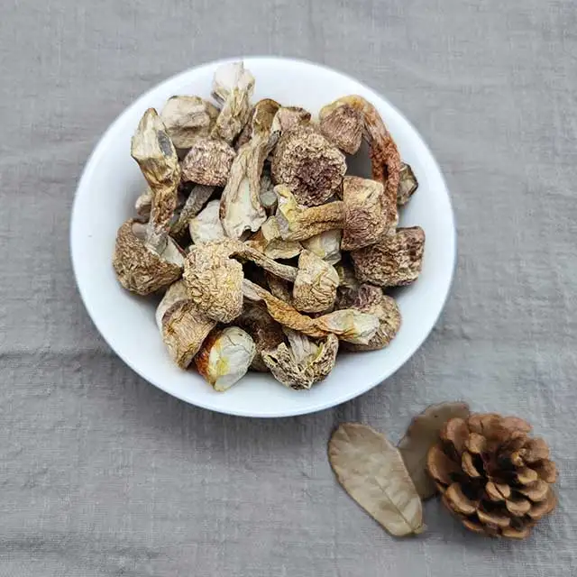 Natural Agaricus Blazei Murill  with High Quality Mushrooms