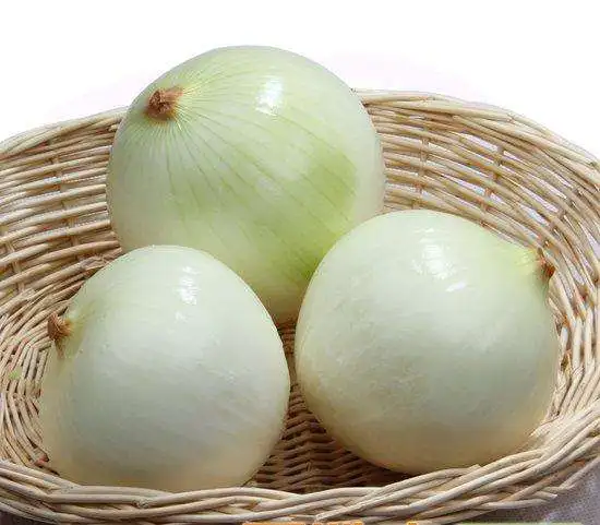 low price of Dried Dehydrated white Onion