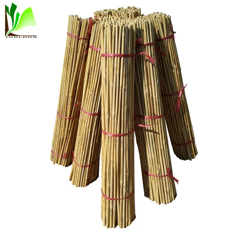 liberty bamboo ski poles 120