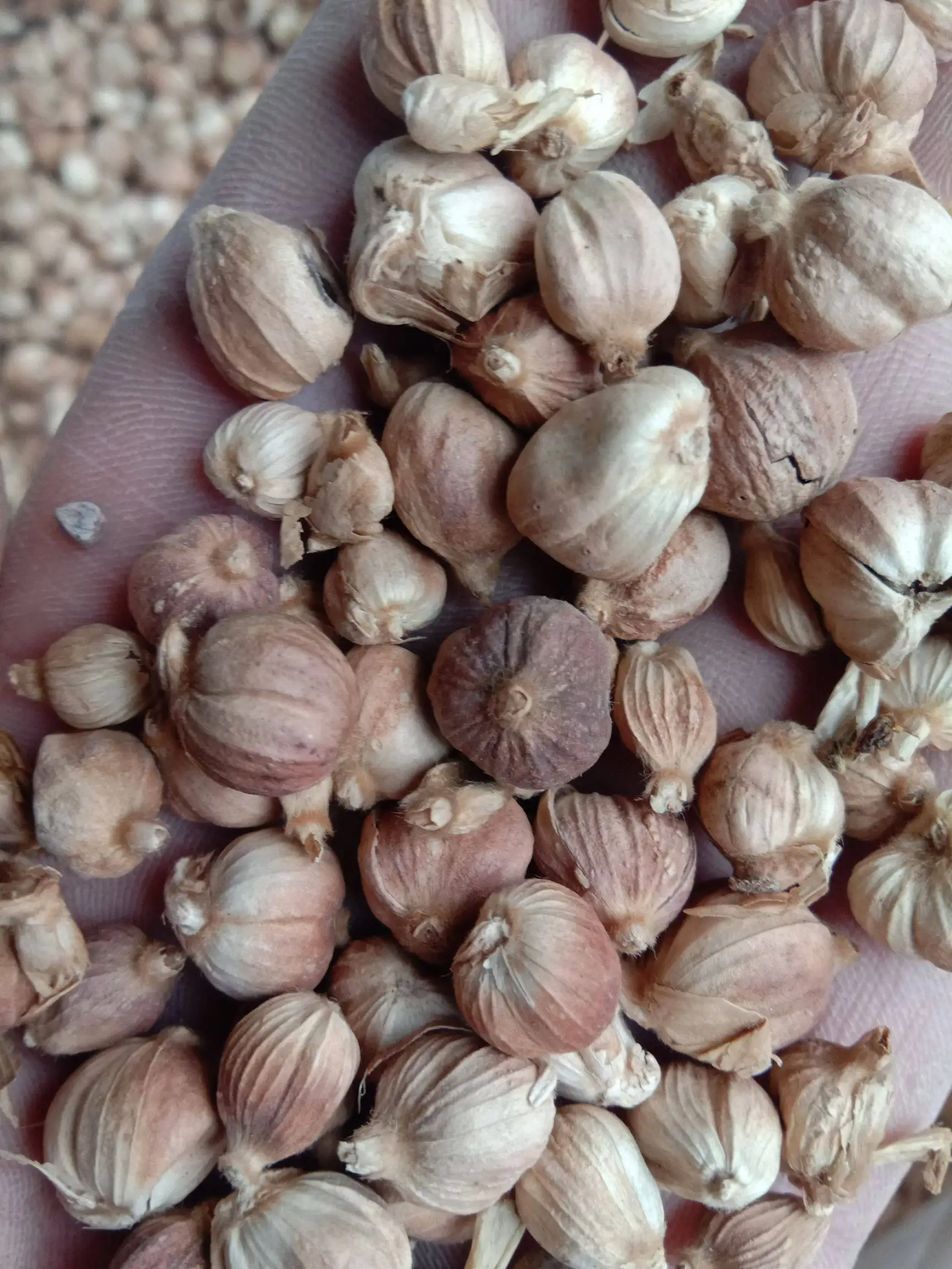 commercial spice dryer garlic drying machine heat pump dryer factory whole sale price