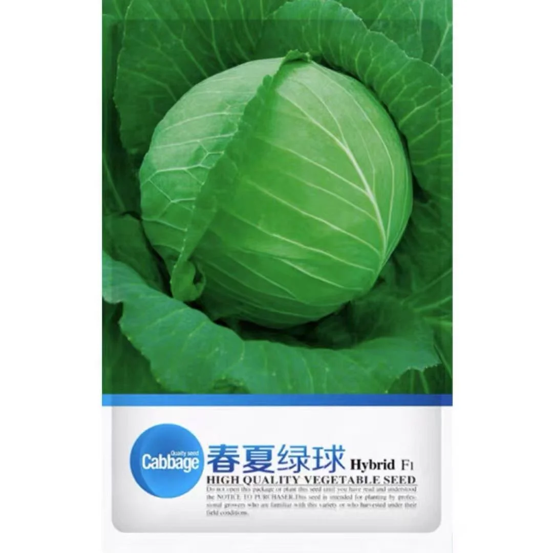 Wholesale Chinese Best Quality Hybrid F1 Heat Resistant Cabbage Seed