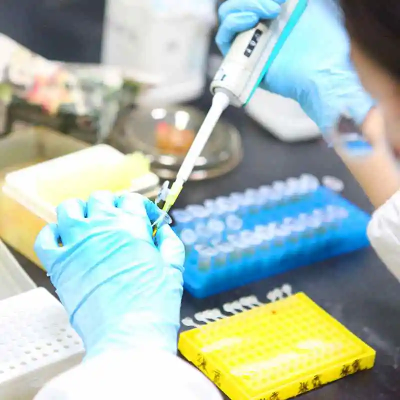 Hot Sell Neutral Protease Extracted from Bacillus Subtilis Neutral Protease Price 9068-59-1