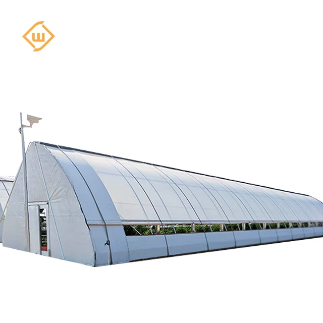Modern agricultural commercial single-span polycarbonate plastic film tomato and strawberry planting greenhouse