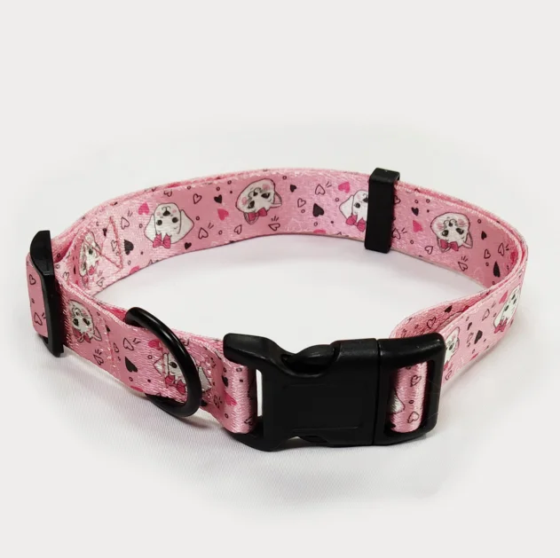 Amazon Hot Selling Custom Printing Breathable Mesh Dog Harness Leash Set with Collar Poop Bag Holder Dispenser 6