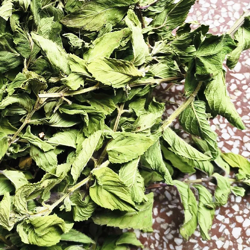 Aromatic Mint Leaves Powder Price Organic Mint powder Peppermint Powder for sale