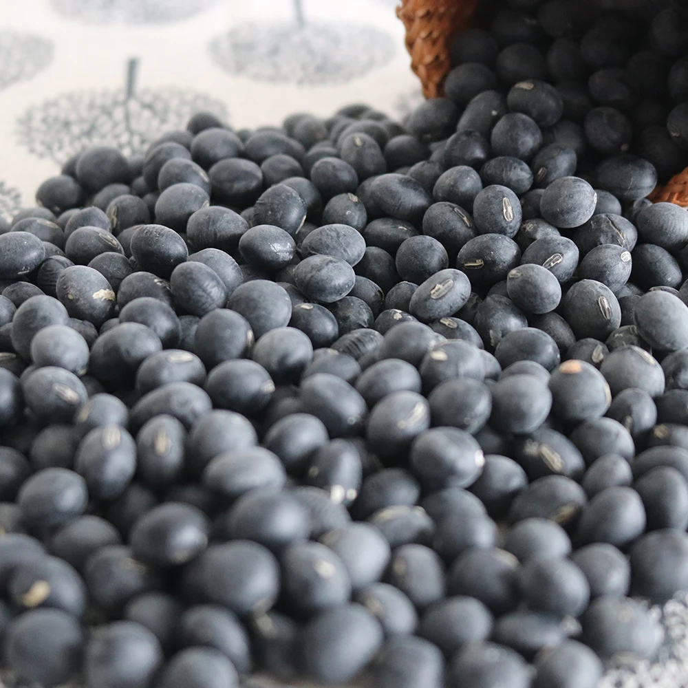 Black Bean Export Good Quality Fresh Chinese Baked Black Bean