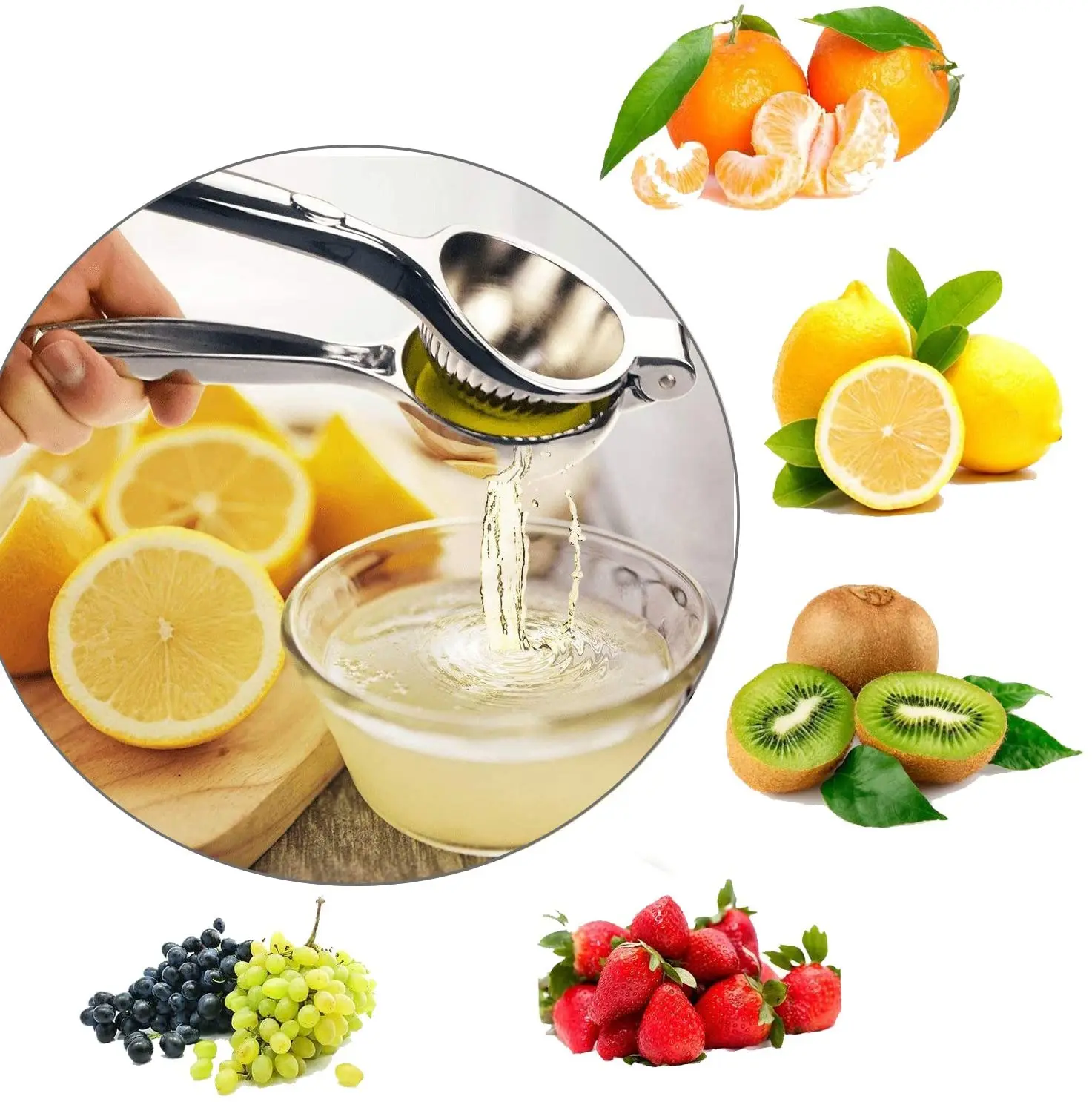 Hot Sale Stainless Steel Lemon Squeezer  Manual Fruit Squeezer Citrus Squeezer Fruit Juice Reamer Manual Juicer Fast Handle