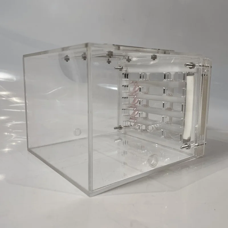 New arrives small plastic ant breeding box ant rest home pet home for display only