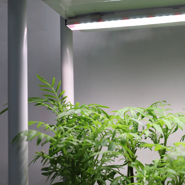 Movable Vertical Grow 3 Level Self Watering Smart Garden Planter Box Stand Indoor Herb Plant Growing System with Light