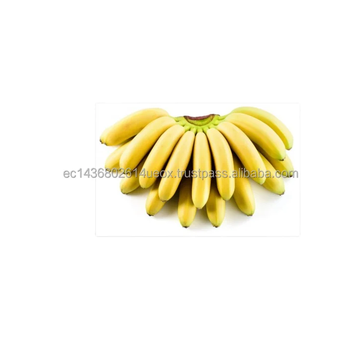 
100% Natual Organic soft bananas Certified organic and Fairtrade Delicious Taste Hot Sale Products 