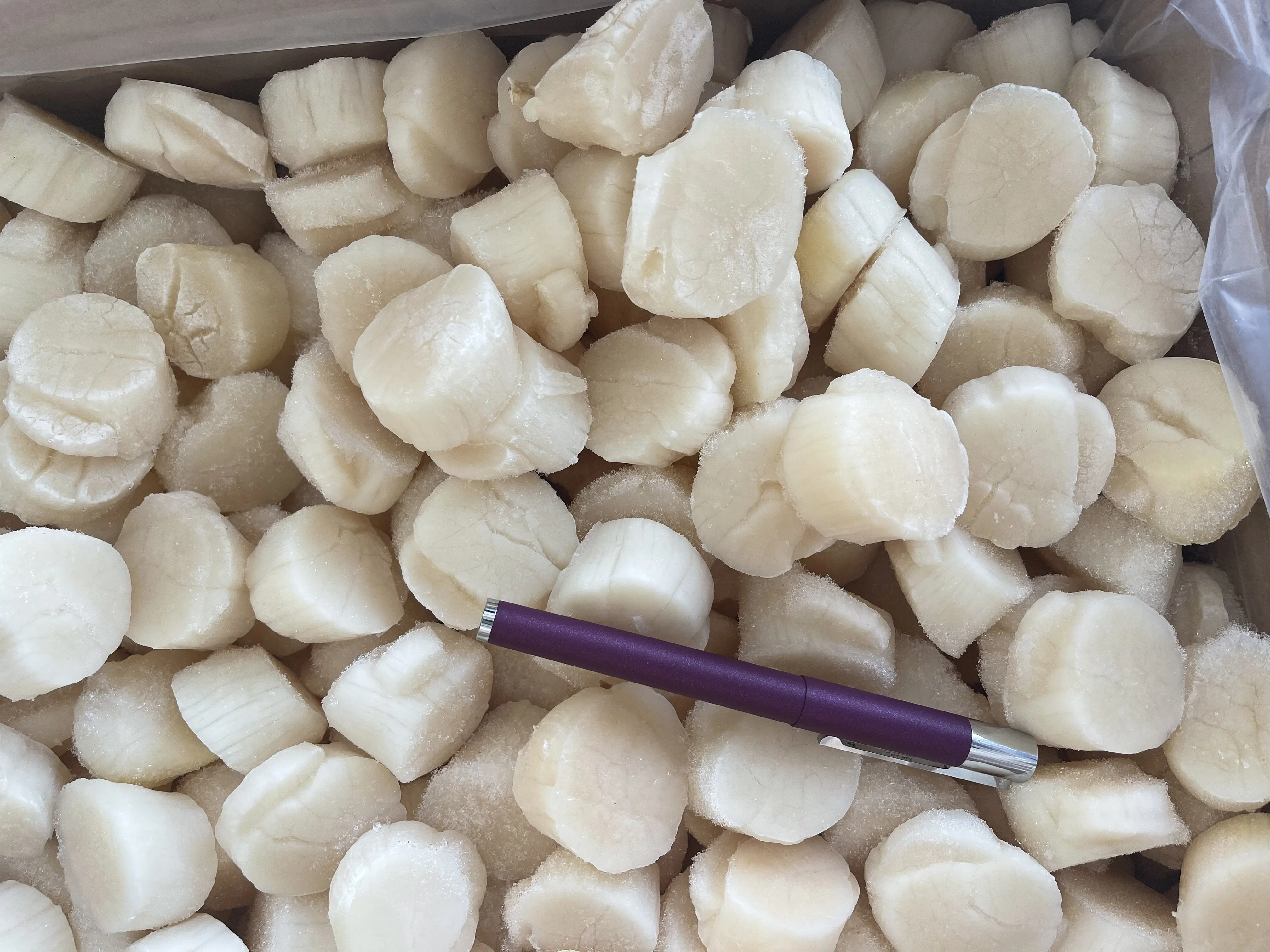 Good Price Seafood IQF Frozen Japanese Scallop Meat with Competitive Price