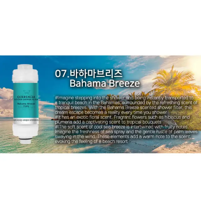 Skin and Hair Care Lemon Aromatherapy Vitamin C Shower Head Filter Korean Rust and Chlorine Removal Water Purification Filter