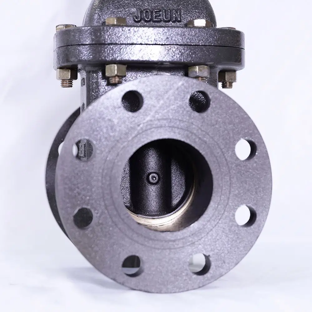  Поставка клапанов затвора DEBIEN PN10 PN16 PN25 Safty Gate Valve по