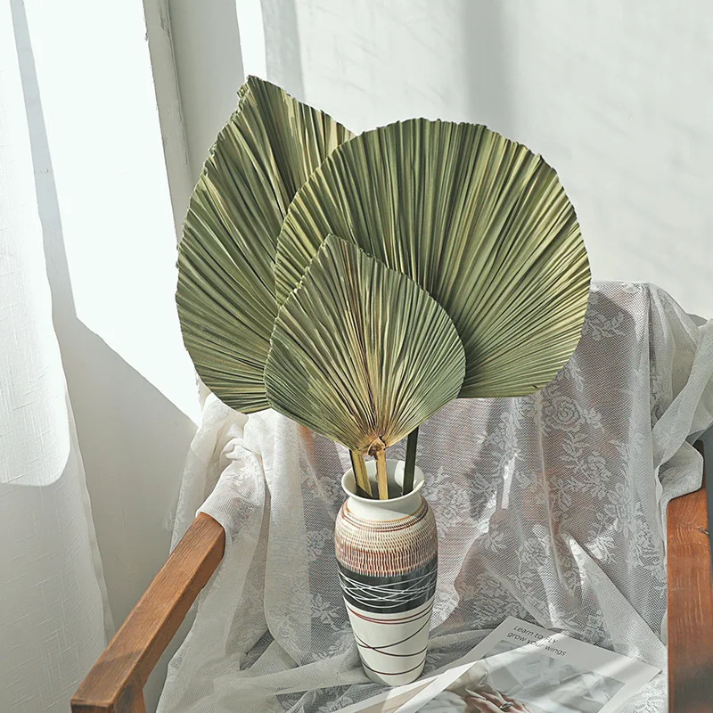 Wild Autumn Ins popular Home Decoration Real Natural Dried Flower Natural Palm Leaves For wedding decoration