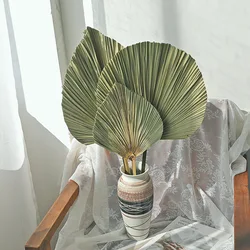 Wild Autumn Ins popular Home Decoration Real Natural Dried Flower Natural Palm Leaves For wedding decoration
