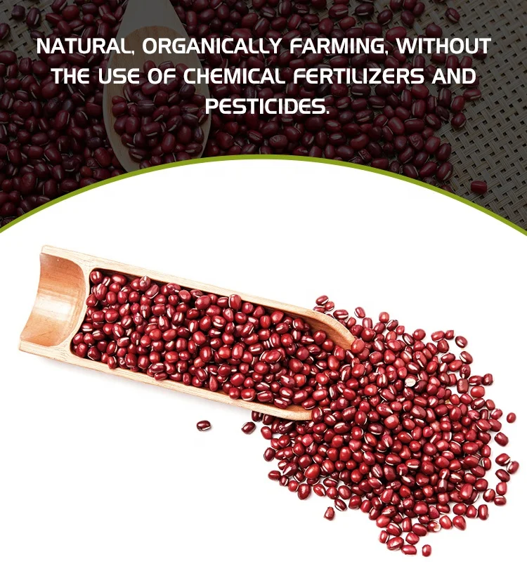 Chinese Small Red Beans adzuki beans azuki bean for sale