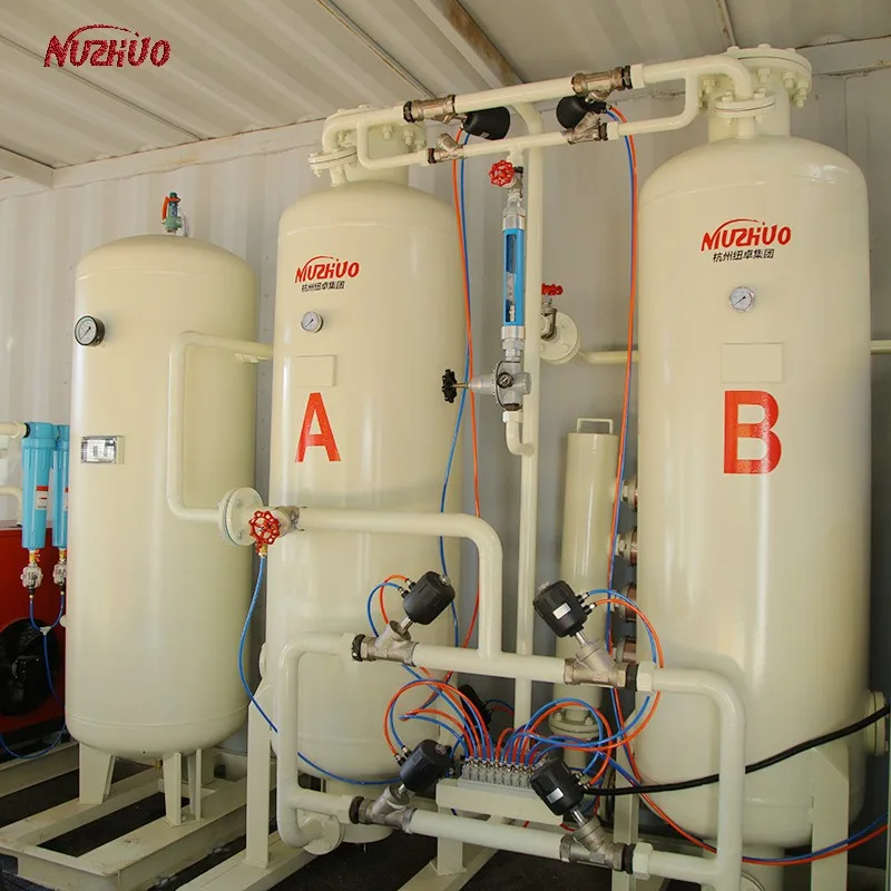 NUZHUO 2024 Hotsale Extraordinary Quality Psa 20Nm3 30Nm3 100Nm3 Oxygen Generating Machine Export To Africa