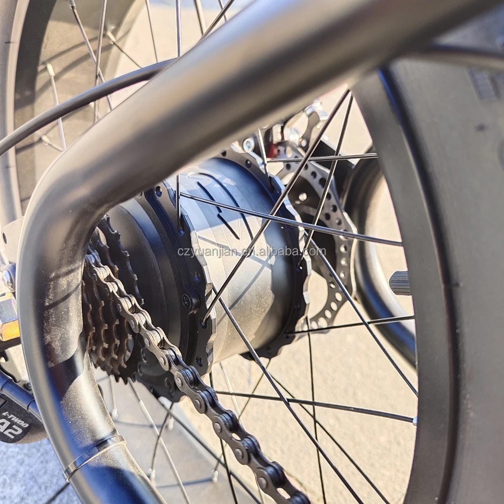 20inch ebike electric bicycle bicicleta electrica 25-Speed 250W 15AH electric+bike