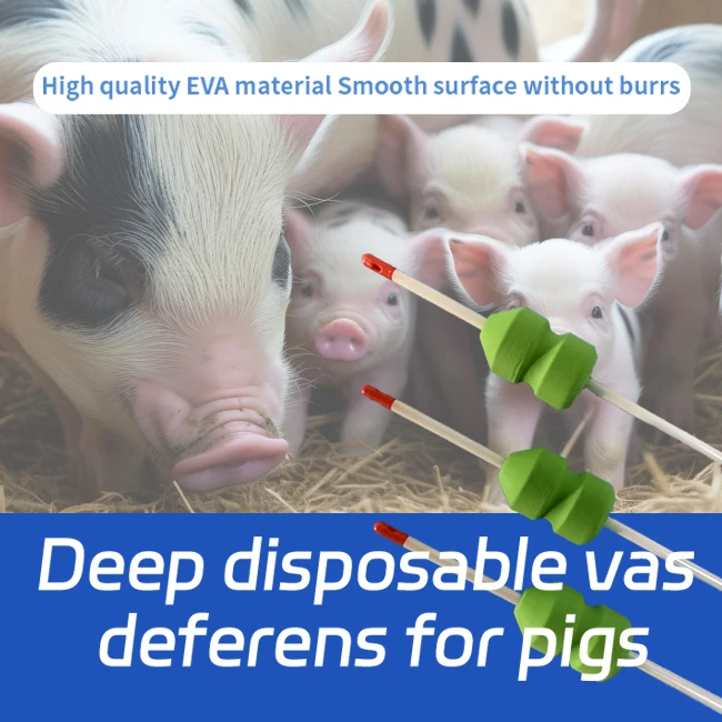 Disposable pp polymer artificial pig semen/sperm catheter Artificial insemination with deep fertilization tube pig vas deferens