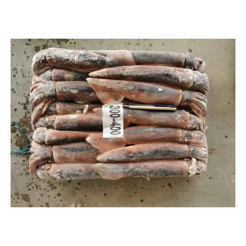 Ready Stock Jigger Catching Whole Fresh Food Illex Squid Argentina Frozen Squid