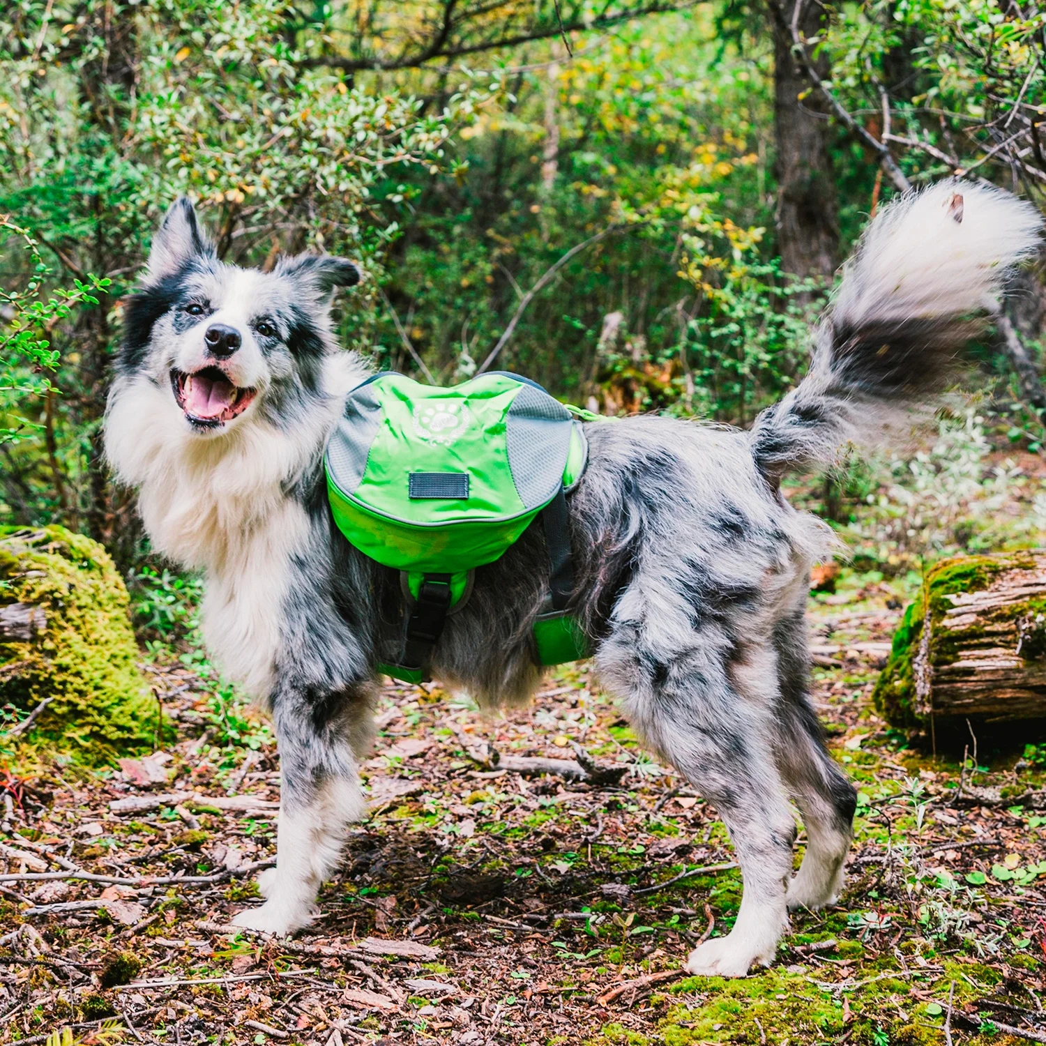 Wholesale Pet Carrier Backpack Dog Saddle Bags Traveling Dog Bag Go Hiking Camping