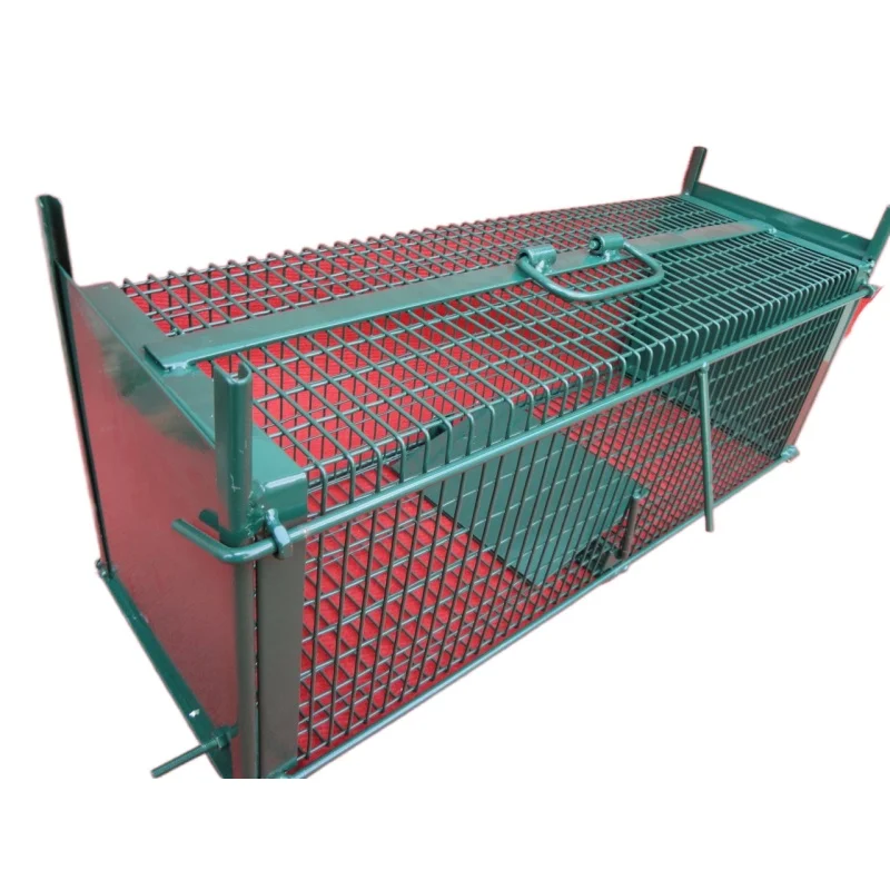 Factory Wholesale Double Door Animal Trap Weasel Cage Trap