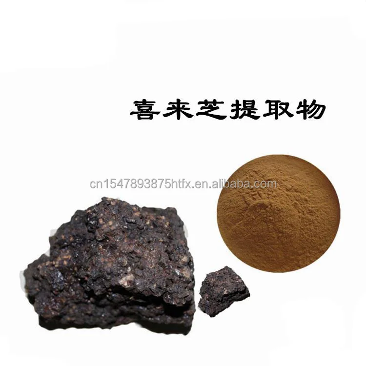 Factory supply Shilajit Extract Powder 50% Fulvic Acid shilajit exract price