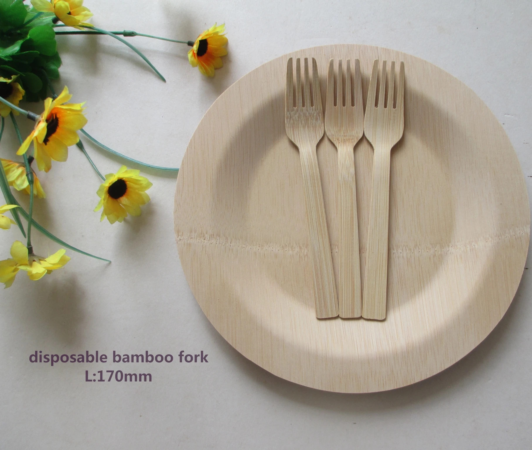 Modern Square Disposable Eco-Friendly Wood Charger Plates Sustainable Wooden Birch Veneer Stocked with Plant Pattern Dish Design