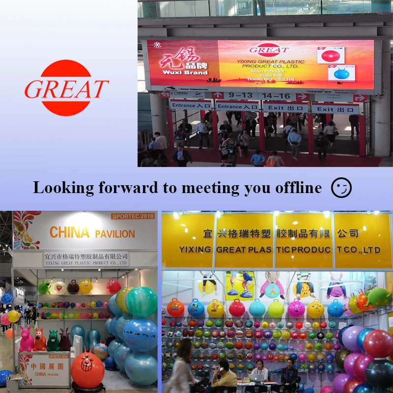 Eco Friendly PVC Exercise Fitness Yoga Ball Factory Manufacturer