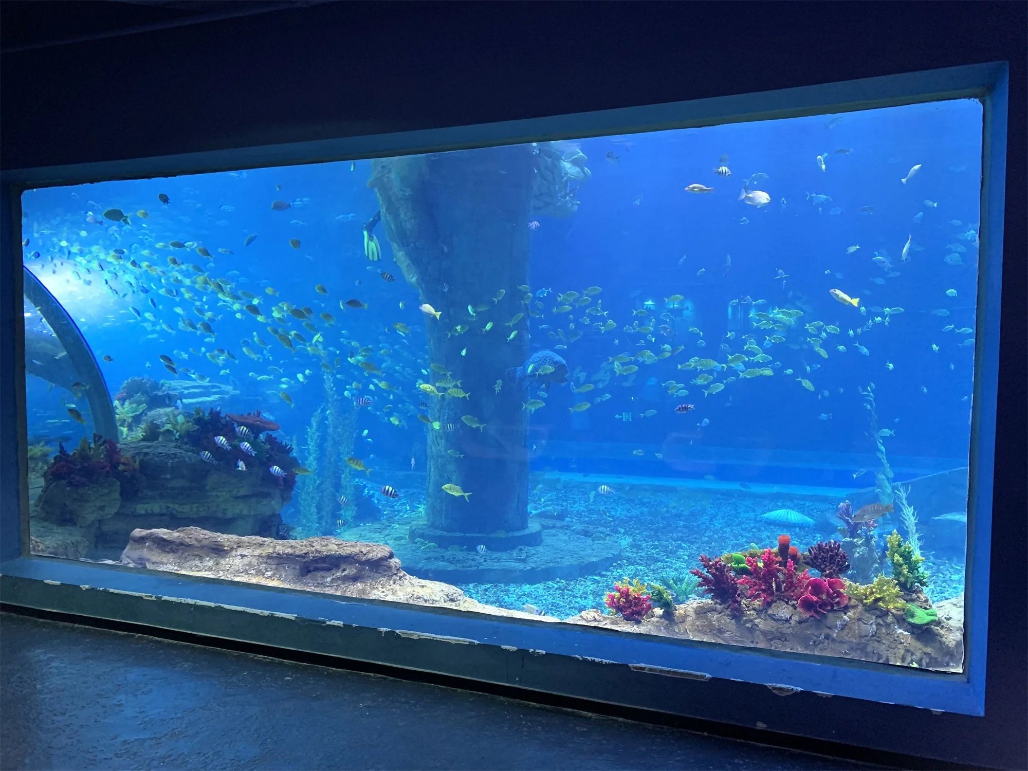 Factory Price Acrylic Sheet Aquarium Acrylic Aquarium Panel Project