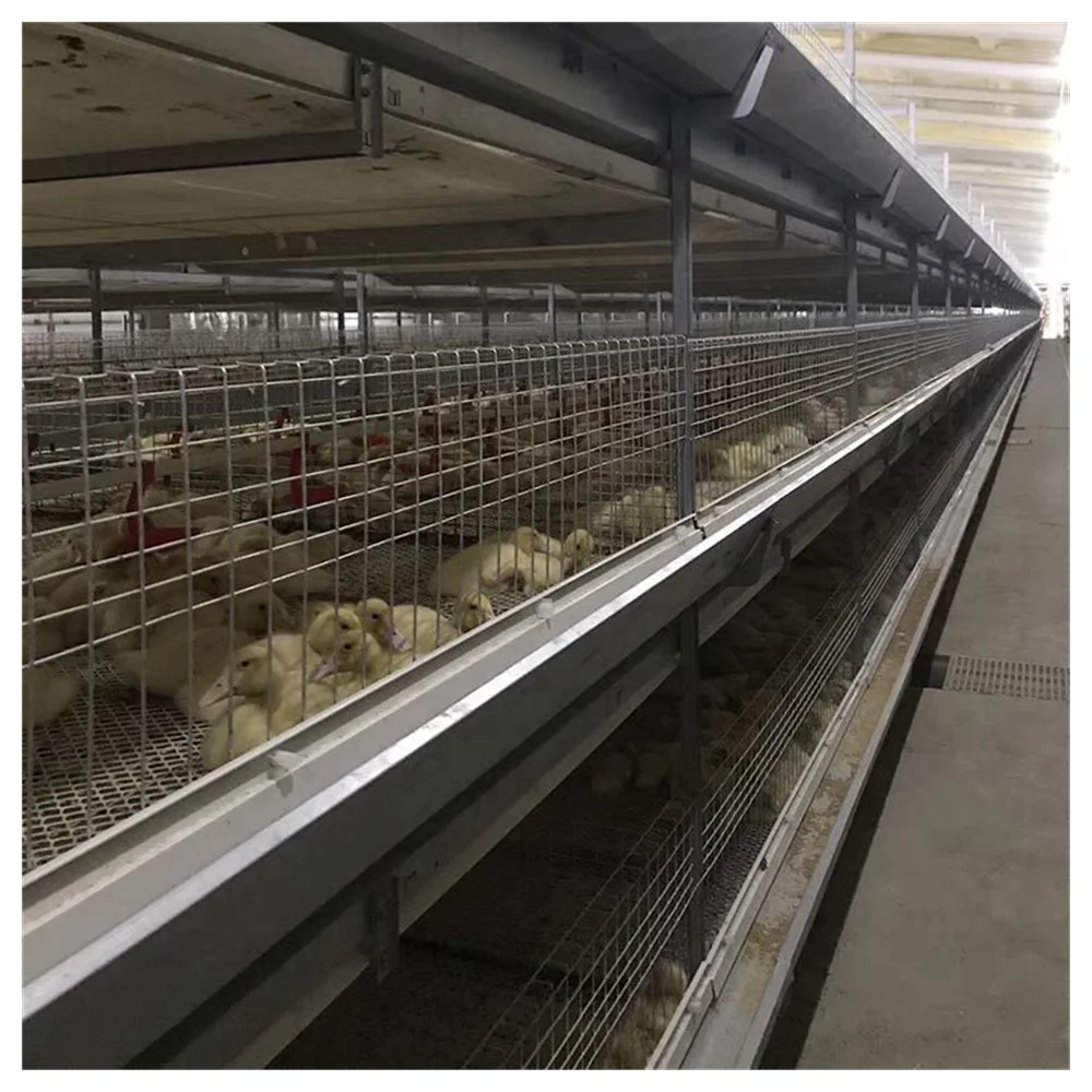 Полностью автоматическая многослойная клетка типа H для птичьего домика вместимостью 20000