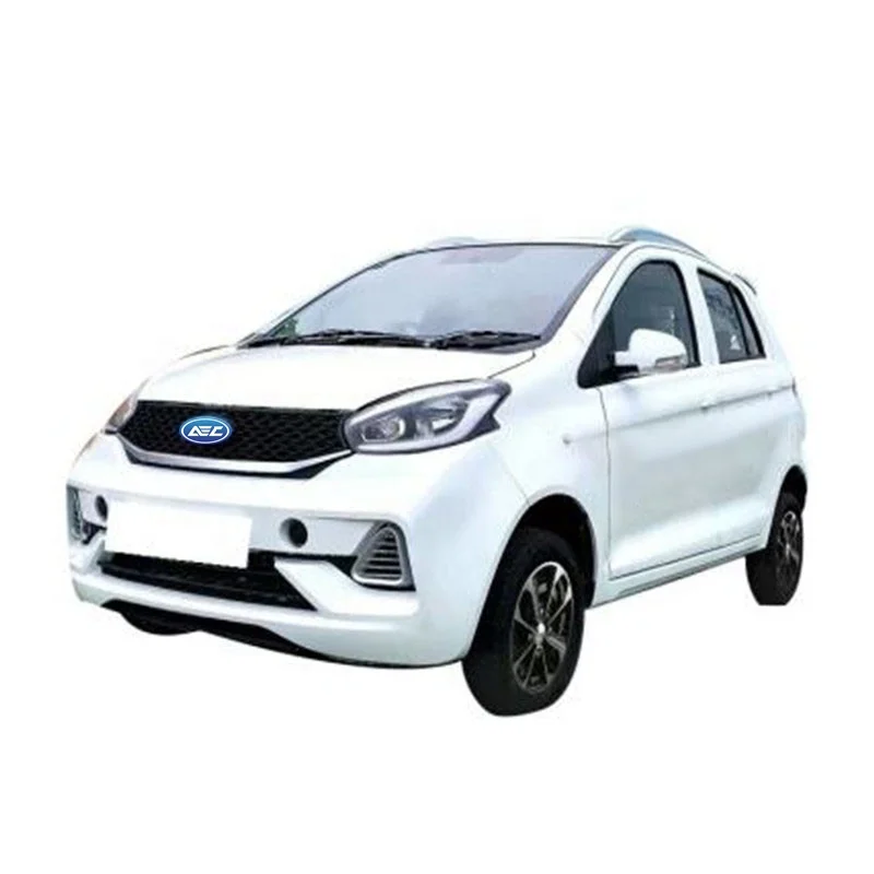 China factory directly supply mini Electric car new arrivals electric suv hot sale adult electric car
