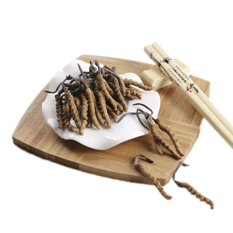 Solvent Extraction Tiens Cordyceps Mushroom Powder, Organic Cordyceps Militaris Mushroom