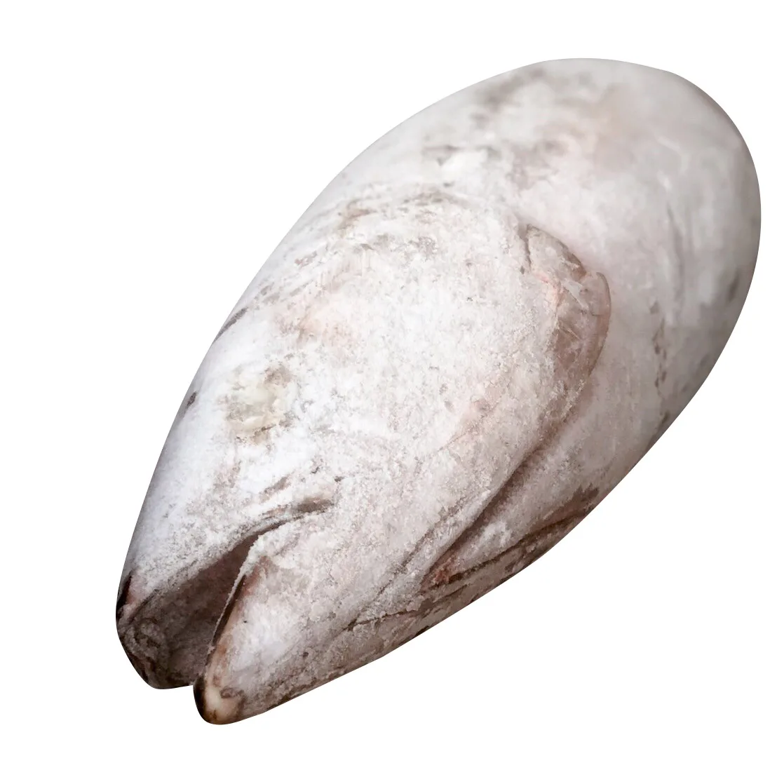 
Wholesale IQF frozen Albacore for fresh seafood 