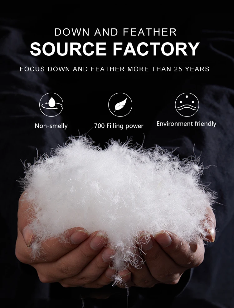 European standard washed 800 fill power white grey goose down feathers for sale